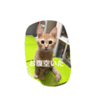 尊い命（個別スタンプ：8）