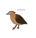 Dumb Bird (Malayan Night Heron)（個別スタンプ：1）