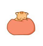 Peter : Lazy Cat（個別スタンプ：5）