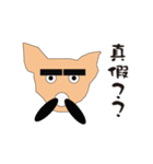 Cute dog everyday（個別スタンプ：1）