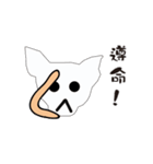 Cute dog everyday（個別スタンプ：5）