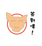 Cute dog everyday（個別スタンプ：6）