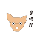 Cute dog everyday（個別スタンプ：16）