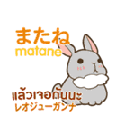 ウサギのあいさつ タイ語日本語（個別スタンプ：11）