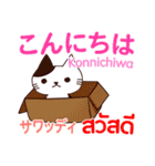 猫あいさつ タイ語日本語（個別スタンプ：2）