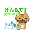 猫あいさつ タイ語日本語（個別スタンプ：6）