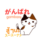 猫あいさつ タイ語日本語（個別スタンプ：9）