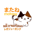 猫あいさつ タイ語日本語（個別スタンプ：11）