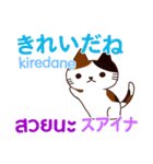 猫あいさつ タイ語日本語（個別スタンプ：17）