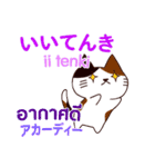 猫あいさつ タイ語日本語（個別スタンプ：29）