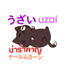 猫あいさつ タイ語日本語（個別スタンプ：40）