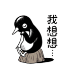 Penguin Planet BLACK 3（個別スタンプ：13）