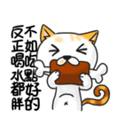 Cats life no happy is not cats.（個別スタンプ：11）