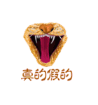 The mouth of pet and humanity.（個別スタンプ：16）