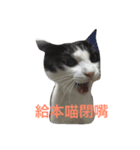 guggimeow（個別スタンプ：7）