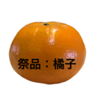 Im Orange（個別スタンプ：14）