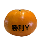 Im Orange（個別スタンプ：16）