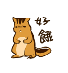 Stupidsheep chipmunk Sticker（個別スタンプ：1）