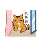 Stupidsheep chipmunk Sticker（個別スタンプ：10）