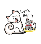 Peach samoyed Dog ＆ Osw Cat（個別スタンプ：1）