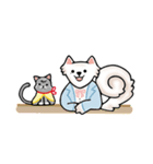 Peach samoyed Dog ＆ Osw Cat（個別スタンプ：8）