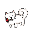 Peach samoyed Dog ＆ Osw Cat（個別スタンプ：9）