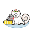 Peach samoyed Dog ＆ Osw Cat（個別スタンプ：15）