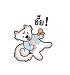 Peach samoyed Dog ＆ Osw Cat（個別スタンプ：24）