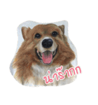 Pet Portrait by J＆M（個別スタンプ：6）