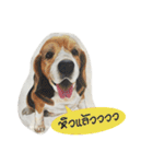 Pet Portrait by J＆M（個別スタンプ：9）