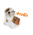 Pet Portrait by J＆M（個別スタンプ：27）