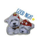 Pet Portrait by J＆M（個別スタンプ：40）