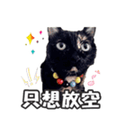 Melu meow meow shop（個別スタンプ：10）