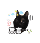 Melu meow meow shop（個別スタンプ：15）