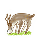 Formosan sika deer（個別スタンプ：4）