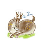 Formosan sika deer（個別スタンプ：5）