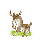 Formosan sika deer（個別スタンプ：6）