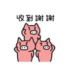 White nose pigs（個別スタンプ：5）