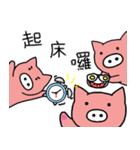 White nose pigs（個別スタンプ：17）