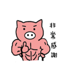 White nose pigs（個別スタンプ：33）