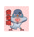 One Pigeon（個別スタンプ：6）