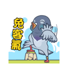 One Pigeon（個別スタンプ：7）