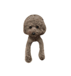 Poodle DoDo（個別スタンプ：9）