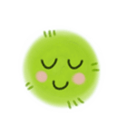 Marimo Family（個別スタンプ：15）