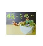 Concrete ＆ meats（個別スタンプ：5）