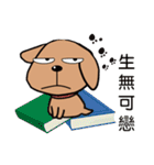 Reading dog（個別スタンプ：12）