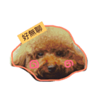 Bad dog Bibo（個別スタンプ：9）