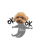 Bad dog Bibo（個別スタンプ：16）