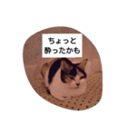 nomou！！（個別スタンプ：5）