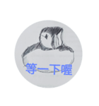 hand draw puffin（個別スタンプ：5）